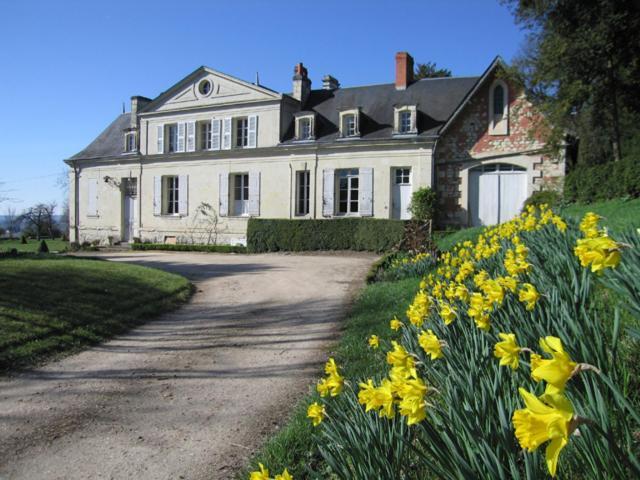 Chambres d'Hôtes Le Château de la Plante Thuré Extérieur photo